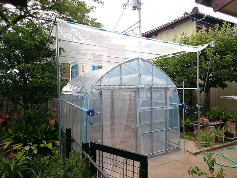 2021年最新入荷 家庭菜園用ビニール 2.7×5m